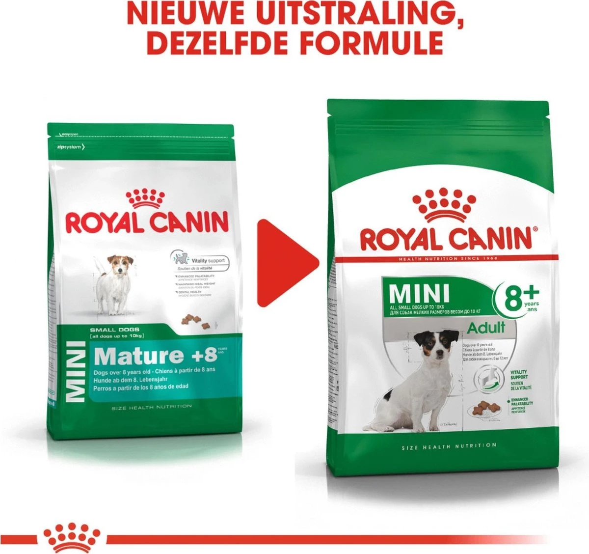 Royal Canin Mini Adult +8 8 KG 9 Royal Canin Mini Adult +8 8 KG - Afbeelding 9