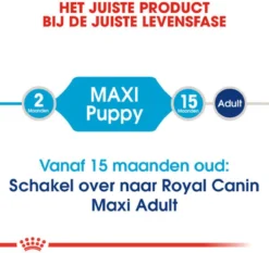 Royal Canin Maxi Junior - Hondenvoer - 10 Kg -Hondenartikelen Winkel 1200x1132 1