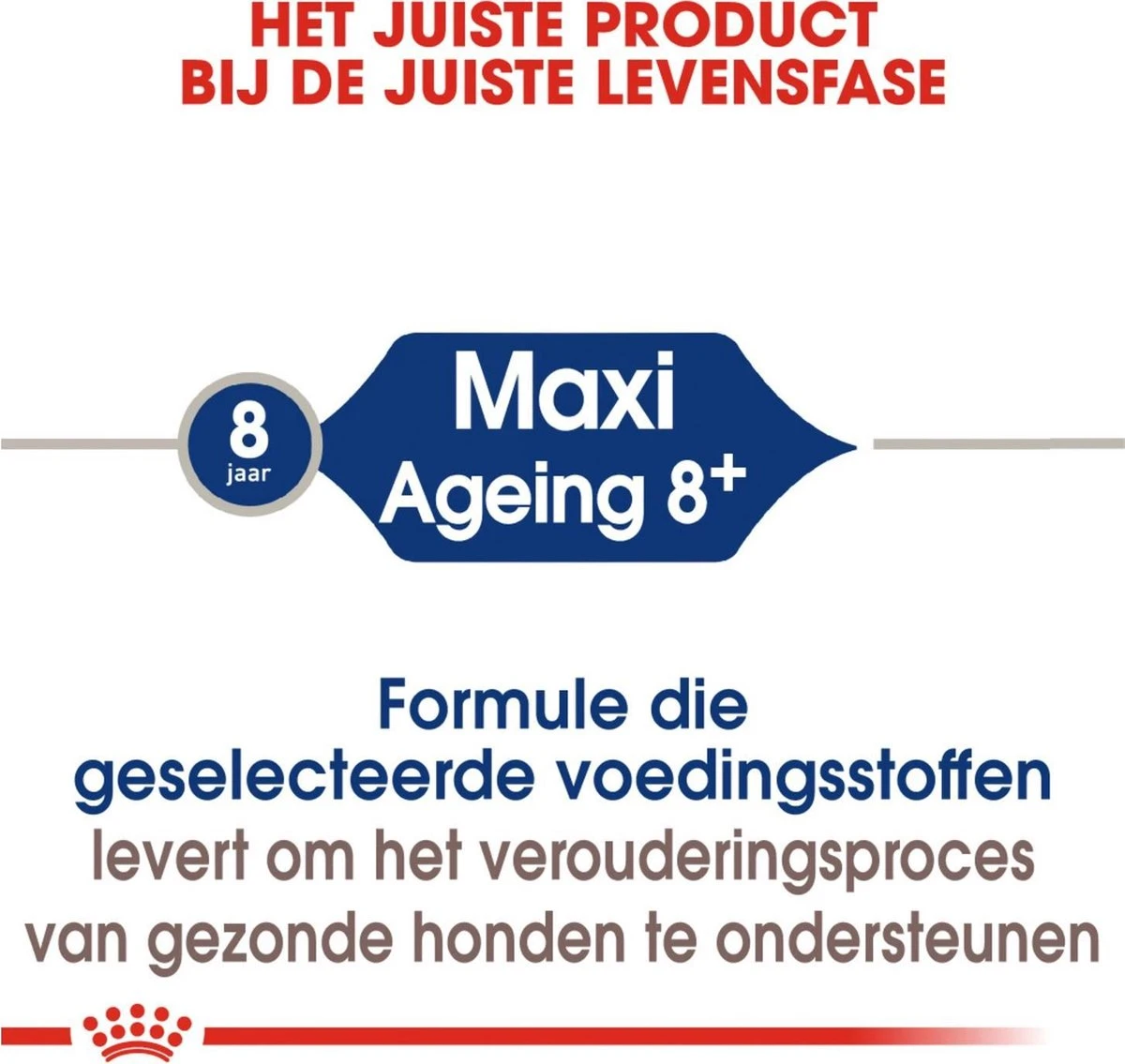 Royal Canin Maxi Ageing 8+ 15 KG 2 Royal Canin Maxi Ageing 8+ 15 KG - Afbeelding 2