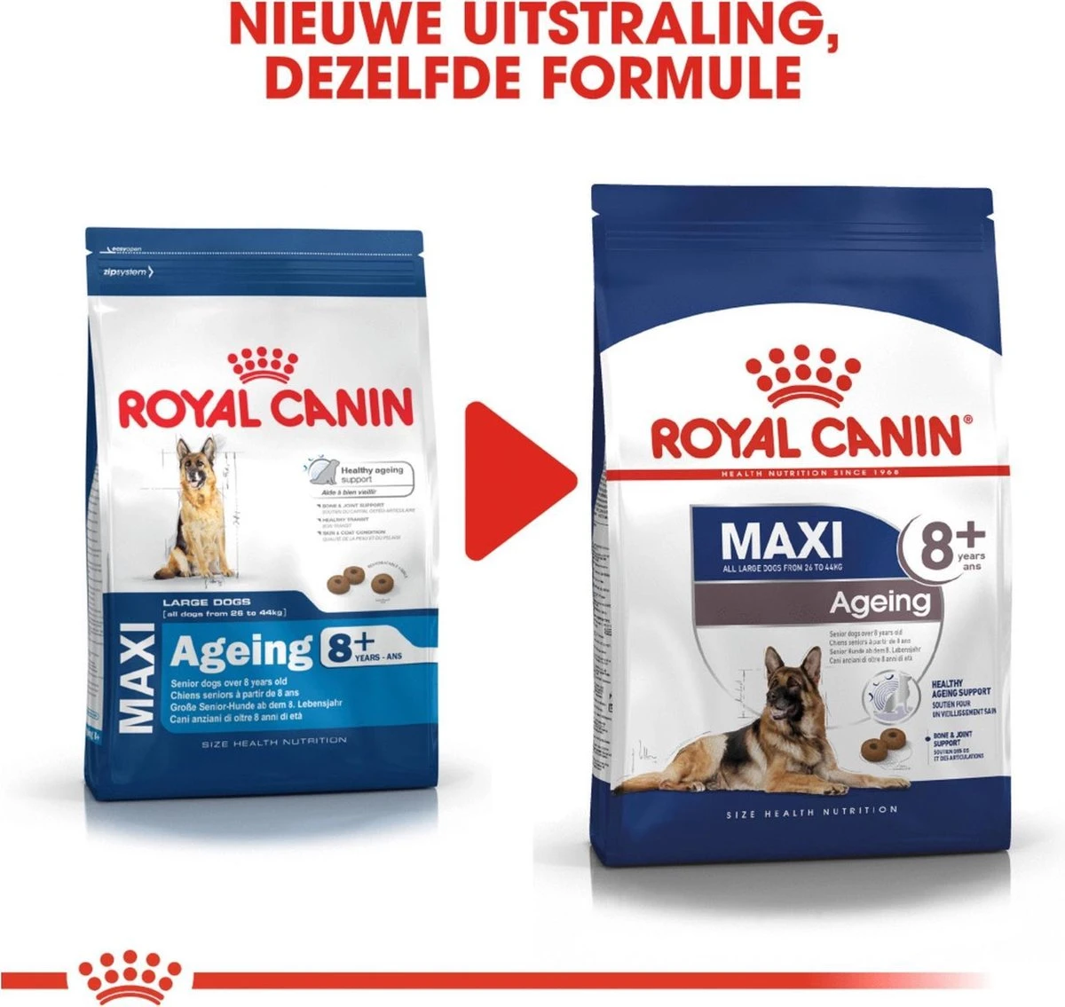Royal Canin Maxi Ageing 8+ 15 KG 10 Royal Canin Maxi Ageing 8+ 15 KG - Afbeelding 10