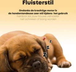 Hondentondeuse Professioneel - 2 In 1 - Honden & Katten - Hondentrimmer - Dikke & Dunne Vacht -Hondenartikelen Winkel 1200x1136 8
