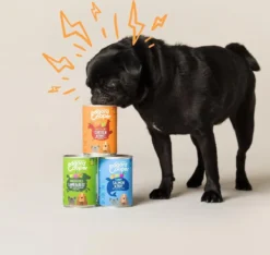 Edgard & Cooper Kip & Kalkoen Blik - Voor Volwassen Honden - Hondenvoer - 12 X 400g -Hondenartikelen Winkel 1200x1138