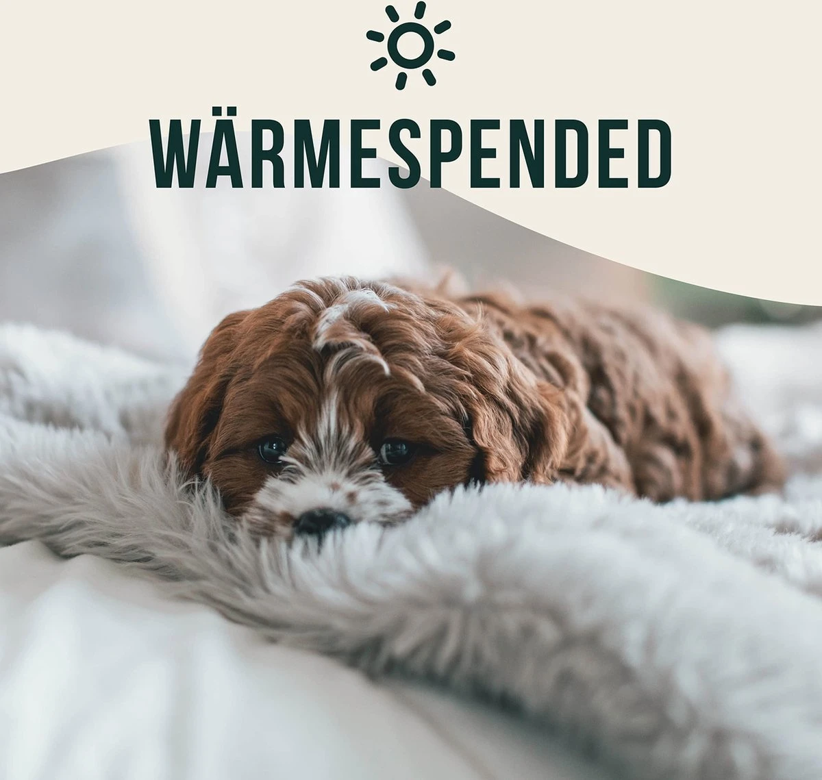 Happilax Fluffy Hondendeken Voor Auto & Bank, Wasbare Hondenmat Voor Op Reis, Grijs, L 5 Happilax Fluffy Hondendeken Voor Auto & Bank, Wasbare Hondenmat Voor Op Reis, Grijs, L - Afbeelding 5