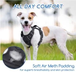 Nobleza 42ZHX - Hondenharnas - Hondentuigje - Anti Trek - M - Zwart -Hondenartikelen Winkel 1200x1141 7