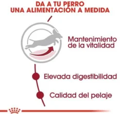 Royal Canin Medium Adult 7+ 15 KG -Hondenartikelen Winkel 1200x1143 1