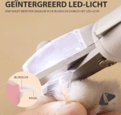 PETKIT® Professionele Dieren Nagelknipper - Nagelknipper Hond - Met LED - Met Vijl - Nageltang -Hondenartikelen Winkel 1200x1143 11