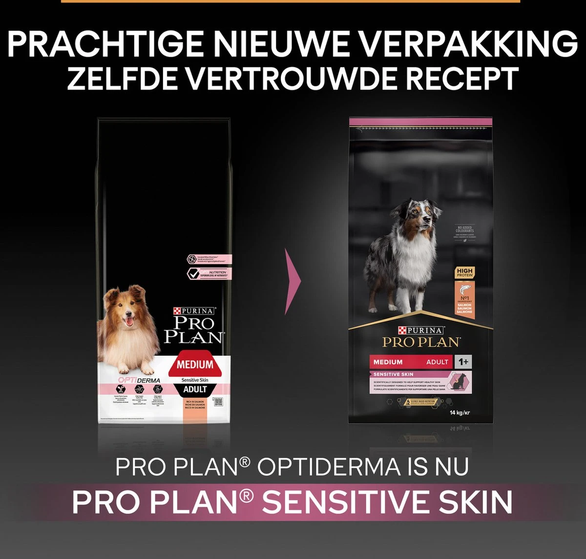 Pro Plan Medium Adult Sensitive Skin - Honden Droogvoer - Zalm - 14 Kg 5 Pro Plan Medium Adult Sensitive Skin - Honden Droogvoer - Zalm - 14 Kg - Afbeelding 5
