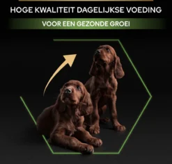 Pro Plan Healthy Start Puppy Large Athletic - Honden Droogvoer - Kip - 12 Kg -Hondenartikelen Winkel 1200x1146 10