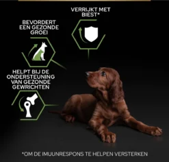 Pro Plan Healthy Start Puppy Large Athletic - Honden Droogvoer - Kip - 12 Kg -Hondenartikelen Winkel 1200x1146 11