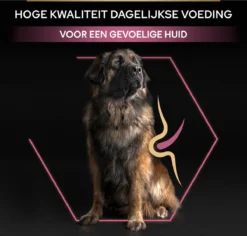 Pro Plan Large Robust Adult Sensitive Skin - Honden Droogvoer - Zalm - 14 Kg 27 Pro Plan Large Robust Adult Sensitive Skin - Honden Droogvoer - Zalm - 14 Kg -Hondenartikelen Winkel 1200x1146 14