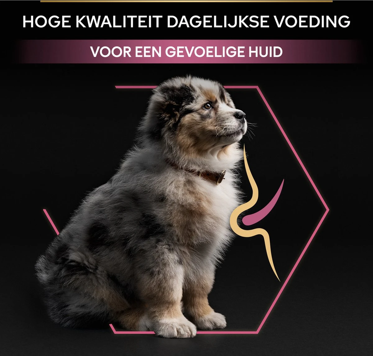 Pro Plan Medium Puppy Sensitive Skin - Honden Droogvoer - Zalm - 12 Kg 12 Pro Plan Medium Puppy Sensitive Skin - Honden Droogvoer - Zalm - 12 Kg - Afbeelding 12