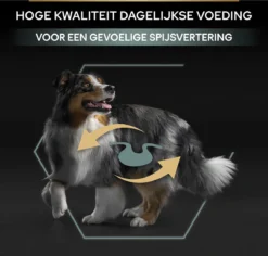 Pro Plan Medium Adult Sensitive Digestion - Honden Droogvoer - Lam - 14 Kg 27 Pro Plan Medium Adult Sensitive Digestion - Honden Droogvoer - Lam - 14 Kg -Hondenartikelen Winkel 1200x1146 20