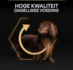 Pro Plan Everyday Nutrition Adult Small & Mini - Honden Droogvoer - Kip - 3 Kg 29 Pro Plan Everyday Nutrition Adult Small & Mini - Honden Droogvoer - Kip - 3 Kg -Hondenartikelen Winkel 1200x1146 32