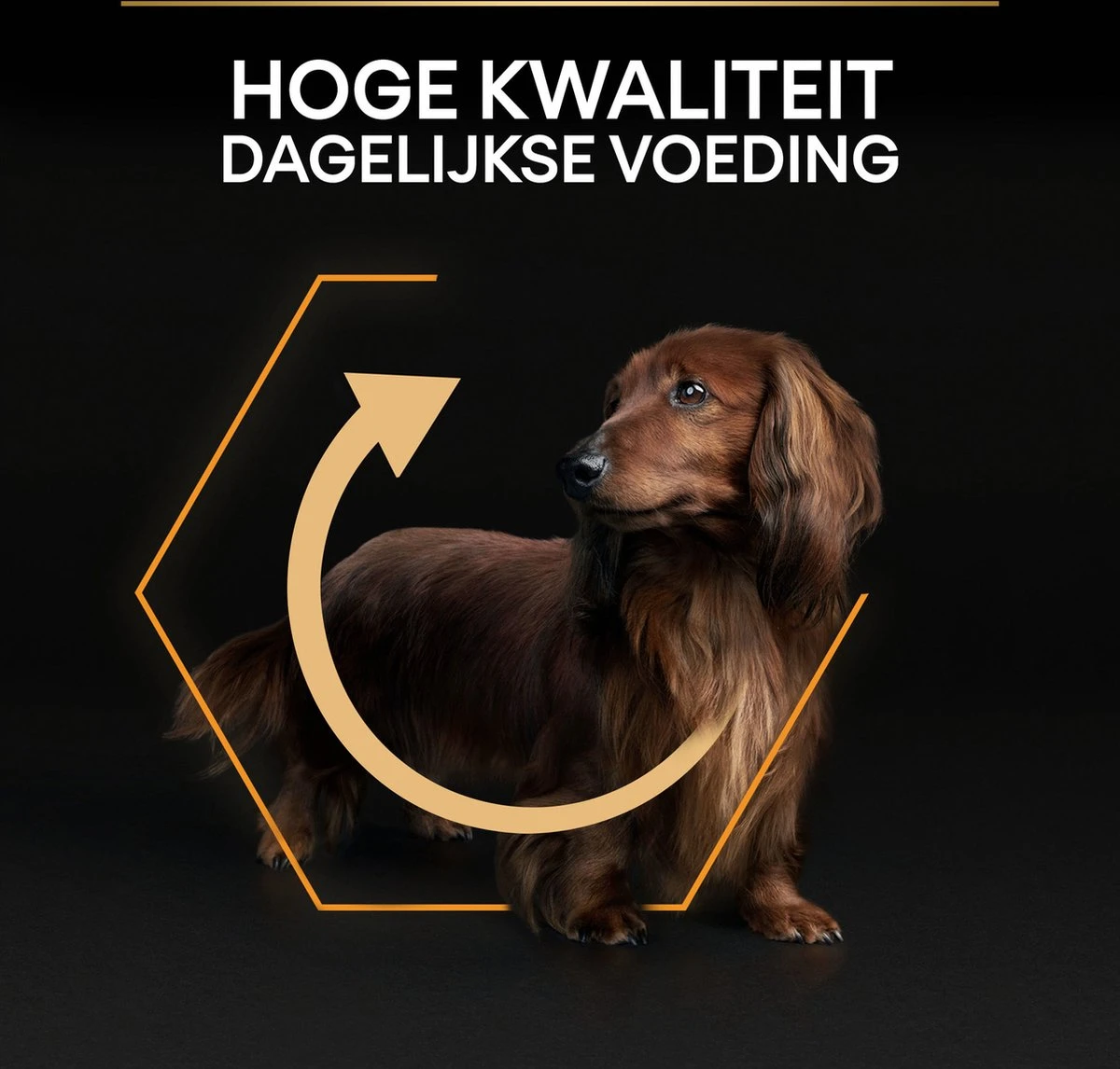 Pro Plan Everyday Nutrition Adult Small & Mini - Honden Droogvoer - Kip - 3 Kg 13 Pro Plan Everyday Nutrition Adult Small & Mini - Honden Droogvoer - Kip - 3 Kg - Afbeelding 13