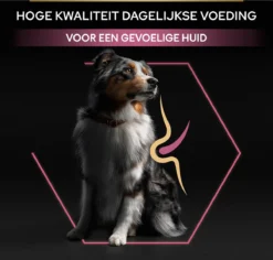 Pro Plan Medium Adult Sensitive Skin - Honden Droogvoer - Zalm - 14 Kg 27 Pro Plan Medium Adult Sensitive Skin - Honden Droogvoer - Zalm - 14 Kg -Hondenartikelen Winkel 1200x1146 35