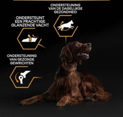 Pro Plan Everyday Nutrition Large Athletic Adult - Honden Droogvoer - Kip - 14 Kg 26 Pro Plan Everyday Nutrition Large Athletic Adult - Honden Droogvoer - Kip - 14 Kg -Hondenartikelen Winkel 1200x1146 39