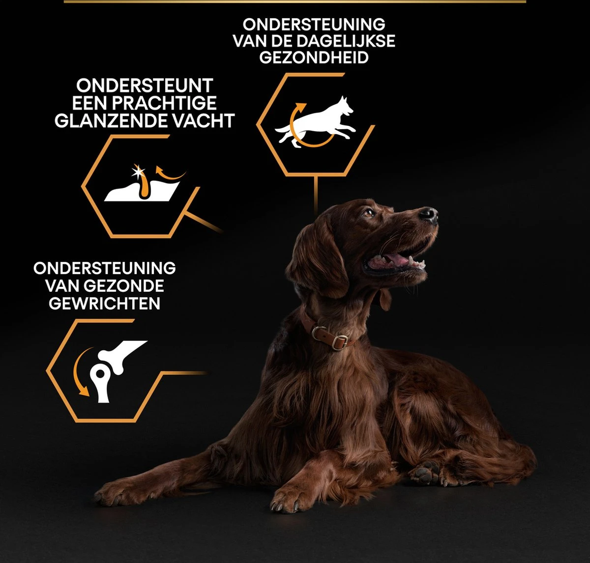 Pro Plan Everyday Nutrition Large Athletic Adult - Honden Droogvoer - Kip - 14 Kg 12 Pro Plan Everyday Nutrition Large Athletic Adult - Honden Droogvoer - Kip - 14 Kg - Afbeelding 12