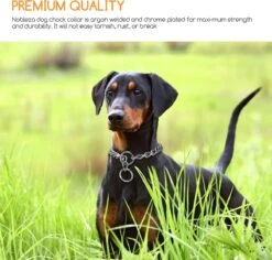 Nobleza Slipketting Hond - Sliphalsband - Trainingshalsband - Hondenketting - Maat L -Hondenartikelen Winkel 1200x1146 44