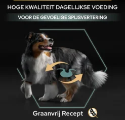 Pro Plan Graanvrij Medium & Large Adult Sensitive Digestion - Honden Droogvoer- Kalkoen - 12 Kg -Hondenartikelen Winkel 1200x1146 5