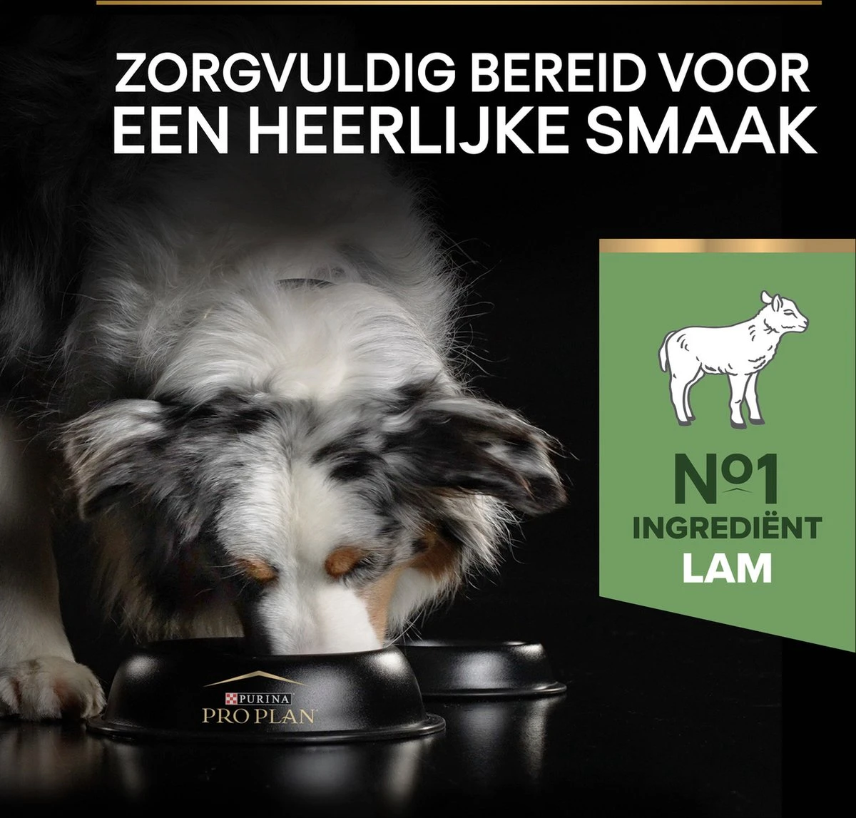 Pro Plan Medium Adult Sensitive Digestion - Honden Droogvoer - Lam - 14 Kg 11 Pro Plan Medium Adult Sensitive Digestion - Honden Droogvoer - Lam - 14 Kg - Afbeelding 11