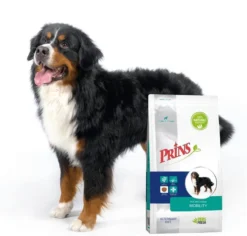 Prins Procare Croque Dieet Mobility Gevogelte - - 10 Kg -Hondenartikelen Winkel 1200x1147 5