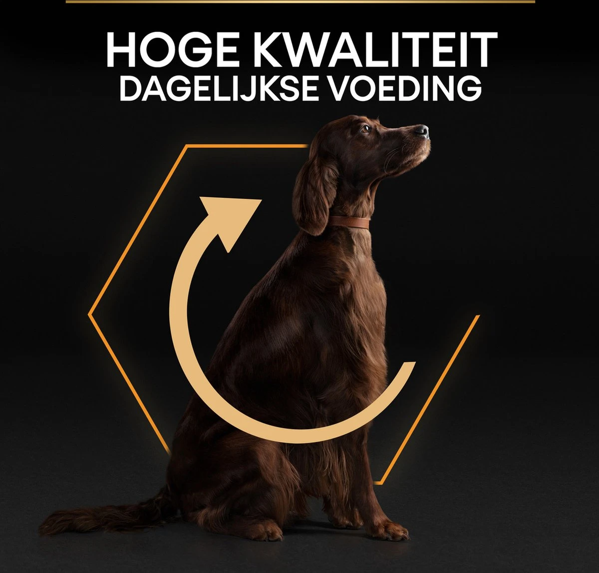 Pro Plan Everyday Nutrition Large Athletic Adult - Honden Droogvoer - Kip - 14 Kg 11 Pro Plan Everyday Nutrition Large Athletic Adult - Honden Droogvoer - Kip - 14 Kg - Afbeelding 11