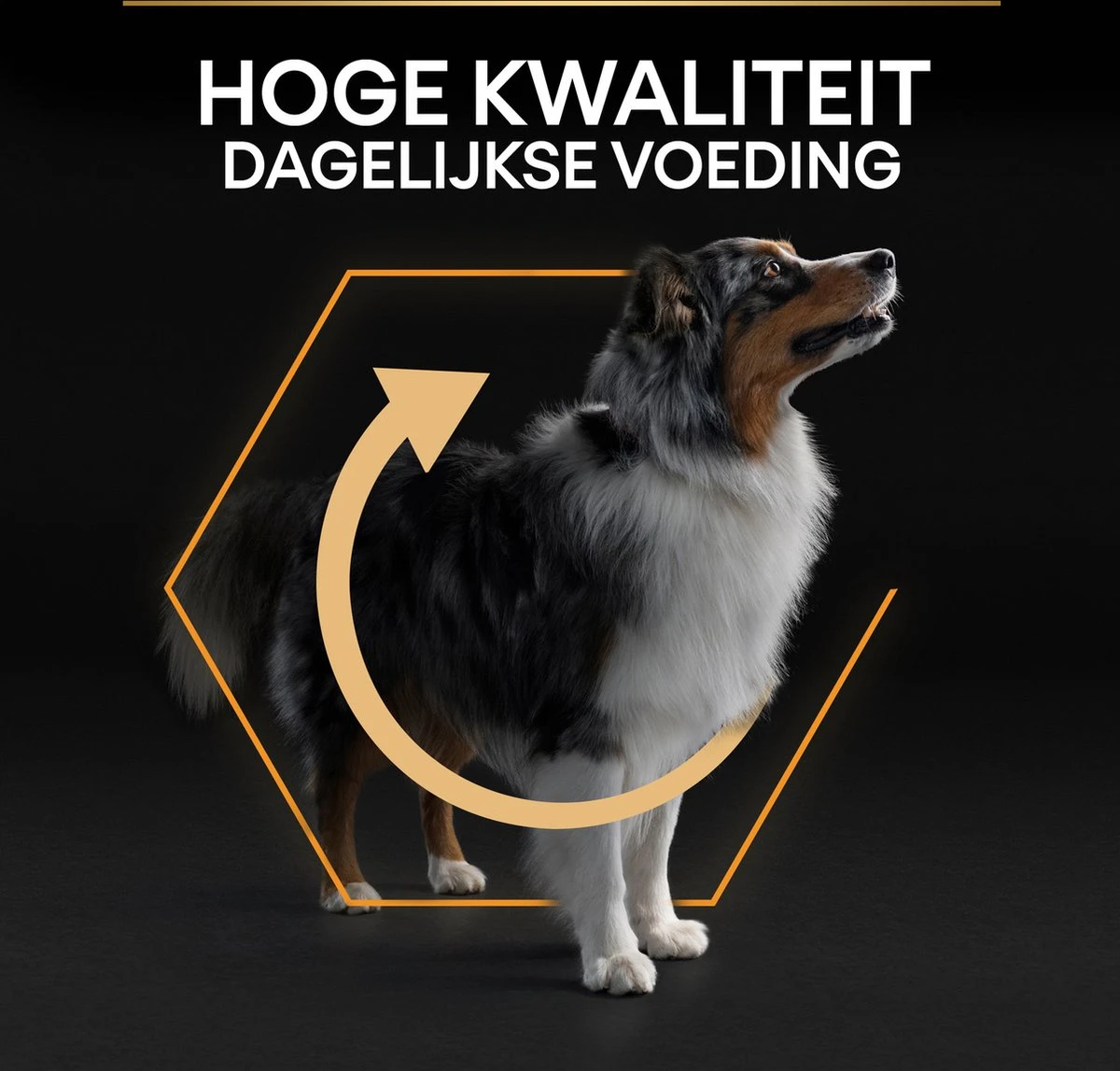 Pro Plan Medium Adult Everyay Nutrition - Honden Droogvoer - Kip - 14 Kg 11 Pro Plan Medium Adult Everyay Nutrition - Honden Droogvoer - Kip - 14 Kg - Afbeelding 11