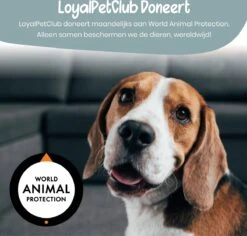 Loyalpetclub® Professionele 2-in-1 Hondentondeuse Voor Dikke Vacht – Draadloze Honden Tondeuse & Hondentrimmer – Stille Tondeuse Katten & Honden Trimset - Inclusief Opbergtasje 17 Loyalpetclub® Professionele 2-in-1 Hondentondeuse Voor Dikke Vacht – Draadloze Honden Tondeuse & Hondentrimmer – Stille Tondeuse Katten & Honden Trimset - Inclusief Opbergtasje -Hondenartikelen Winkel 1200x1148 9