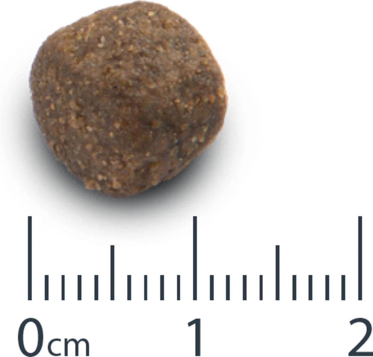 VERSELE-LAGA Opti Life Adult Digestion Medium & Maxi - 12,5 Kg 3 VERSELE-LAGA Opti Life Adult Digestion Medium & Maxi - 12,5 Kg - Afbeelding 3