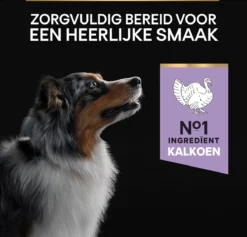 Pro Plan Graanvrij Medium & Large Adult Sensitive Digestion - Honden Droogvoer- Kalkoen - 12 Kg -Hondenartikelen Winkel 1200x1150