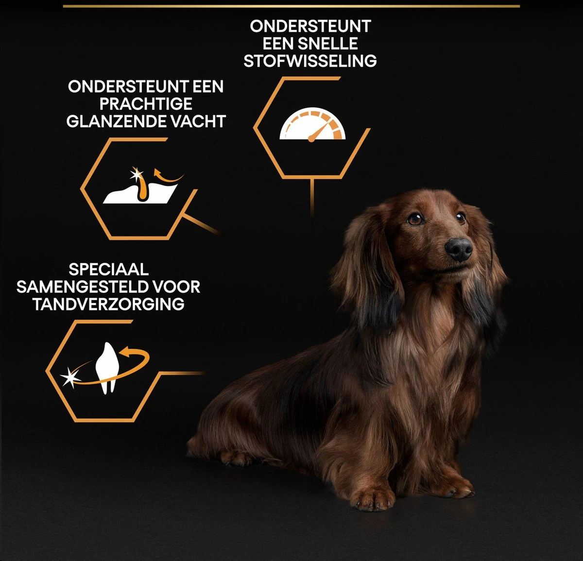 Pro Plan Everyday Nutrition Adult Small & Mini - Honden Droogvoer - Kip - 3 Kg 14 Pro Plan Everyday Nutrition Adult Small & Mini - Honden Droogvoer - Kip - 3 Kg - Afbeelding 14