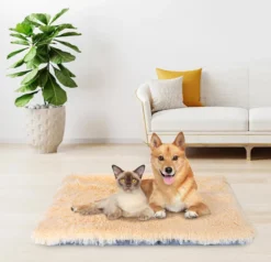 Nobleza Fluffy Benchkussen - Dierenkussen - Hondenkussen - Kattenkussen - Benchmat - Dierenmat - Hondenmat - Kattenmat - Crème - Maat L -Hondenartikelen Winkel 1200x1156 10