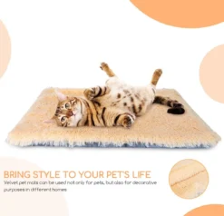 Nobleza Fluffy Benchkussen - Dierenkussen - Hondenkussen - Kattenkussen - Benchmat - Dierenmat - Hondenmat - Kattenmat - Crème - Maat L -Hondenartikelen Winkel 1200x1156 9