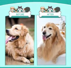 Nobleza 3 Delige Hondenborstel Set – Hondenkam - Kattenkam - Borstels – Dierverzorging - Dierenverzorging - Blauw -Hondenartikelen Winkel 1200x1157 8