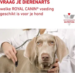 Royal Canin Sensitivity Control - Hondenvoer - 14 Kg -Hondenartikelen Winkel 1200x1158 3