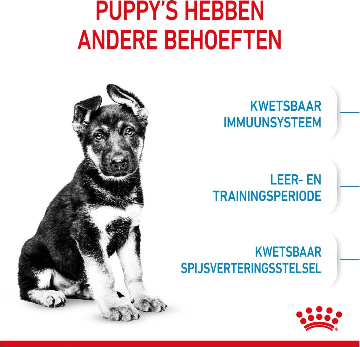 Royal Canin Maxi Puppy 4 KG 4 Royal Canin Maxi Puppy 4 KG - Afbeelding 4