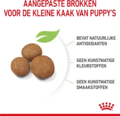 Royal Canin Maxi Puppy 4 KG 28 Royal Canin Maxi Puppy 4 KG -Hondenartikelen Winkel 1200x1159 1