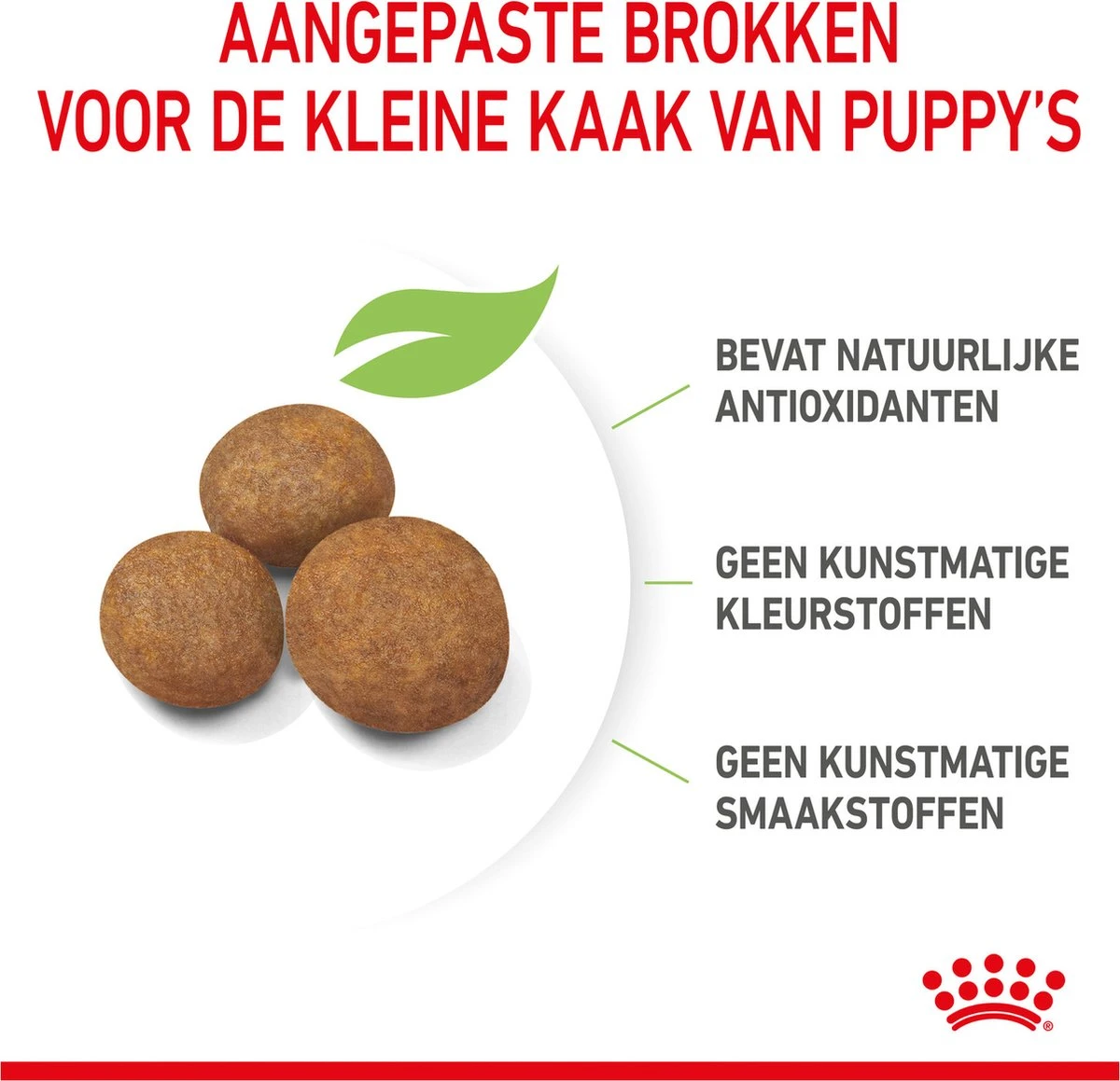 Royal Canin Maxi Puppy 4 KG 9 Royal Canin Maxi Puppy 4 KG - Afbeelding 9