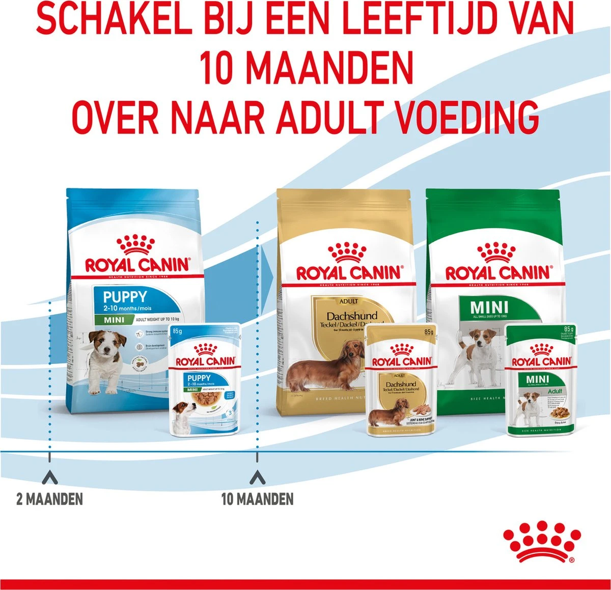Royal Canin Shn Mini Puppy Pouch - Hondennatvoer - 12 X 85 G 10 Royal Canin Shn Mini Puppy Pouch - Hondennatvoer - 12 X 85 G - Afbeelding 10