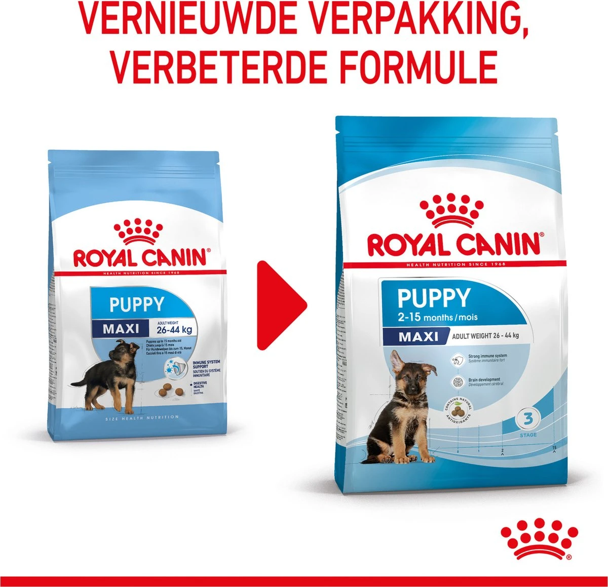 Royal Canin Maxi Puppy 4 KG 15 Royal Canin Maxi Puppy 4 KG - Afbeelding 15