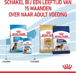 Royal Canin Maxi Puppy 4 KG 39 Royal Canin Maxi Puppy 4 KG -Hondenartikelen Winkel 1200x1159 6