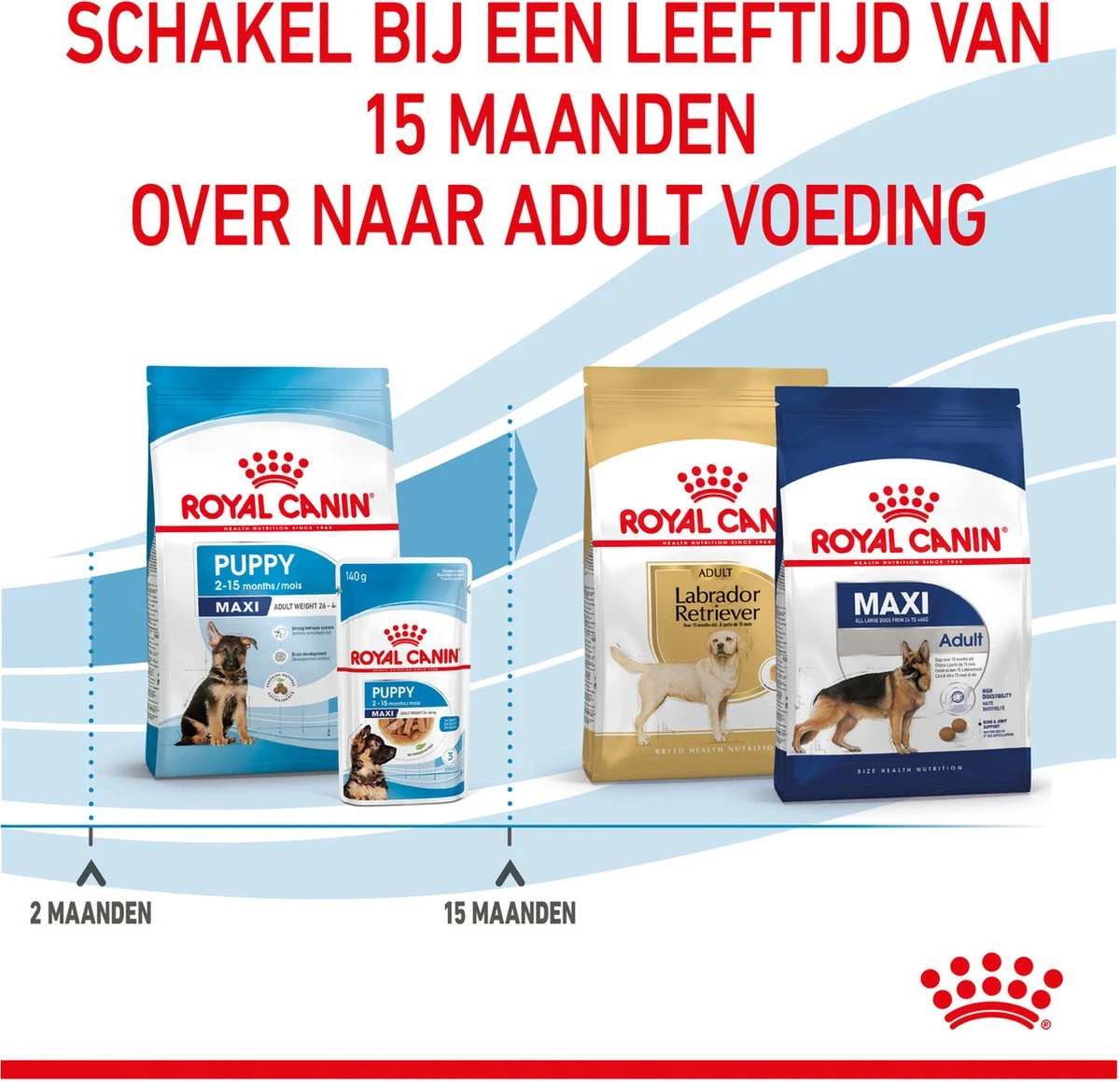 Royal Canin Maxi Puppy 4 KG 20 Royal Canin Maxi Puppy 4 KG - Afbeelding 20