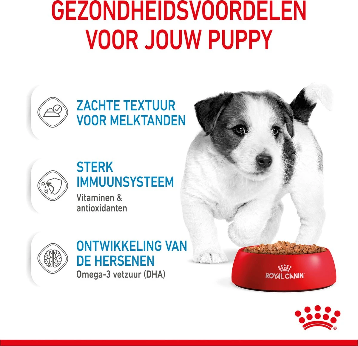 Royal Canin Shn Mini Puppy Pouch - Hondennatvoer - 12 X 85 G 5 Royal Canin Shn Mini Puppy Pouch - Hondennatvoer - 12 X 85 G - Afbeelding 5