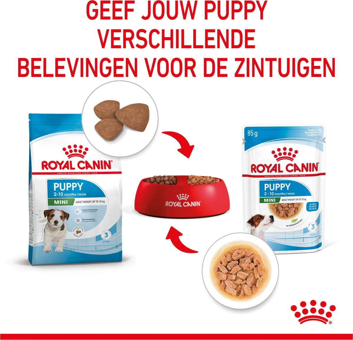 Royal Canin Shn Mini Puppy Pouch - Hondennatvoer - 12 X 85 G 6 Royal Canin Shn Mini Puppy Pouch - Hondennatvoer - 12 X 85 G - Afbeelding 6