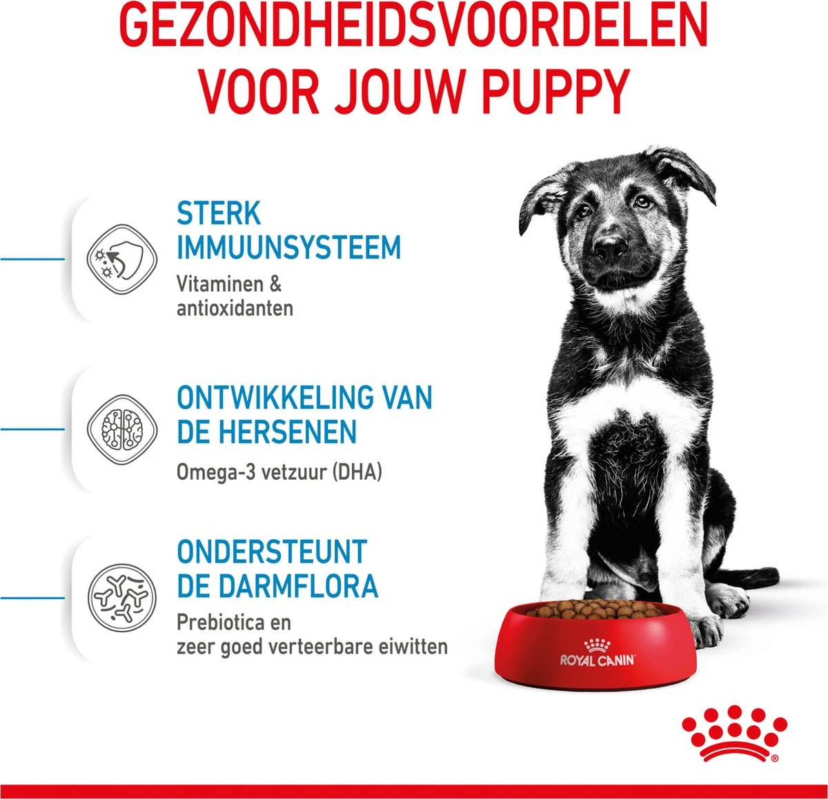 Royal Canin Maxi Puppy 4 KG 6 Royal Canin Maxi Puppy 4 KG - Afbeelding 6