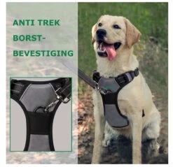 Mister Mill Hondentuigje 2x Klikgesp Maat XL Grijs - Anti-Trek Tuig Hondenharnas - Y Tuig Hond Reflecterend 11 Mister Mill Hondentuigje 2x Klikgesp Maat XL Grijs - Anti-Trek Tuig Hondenharnas - Y Tuig Hond Reflecterend -Hondenartikelen Winkel 1200x1160 19