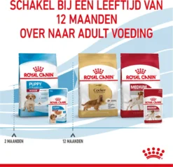 Royal Canin Shn Medium Puppy Pouch - Hondenvoer - 10 X 140 G -Hondenartikelen Winkel 1200x1160 3