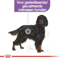 Royal Canin Sterilised Maxi - Hondenvoer - 12 Kg -Hondenartikelen Winkel 1200x1160 6