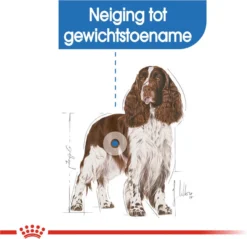 Royal Canin Light Weight Care Medium - Hondenvoer - 12 Kg -Hondenartikelen Winkel 1200x1160 7