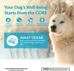 Wellness Core Grain Free Dog Ocean Zalm&Tonijn - Hondenvoer - 10 Kg -Hondenartikelen Winkel 1200x1160 9